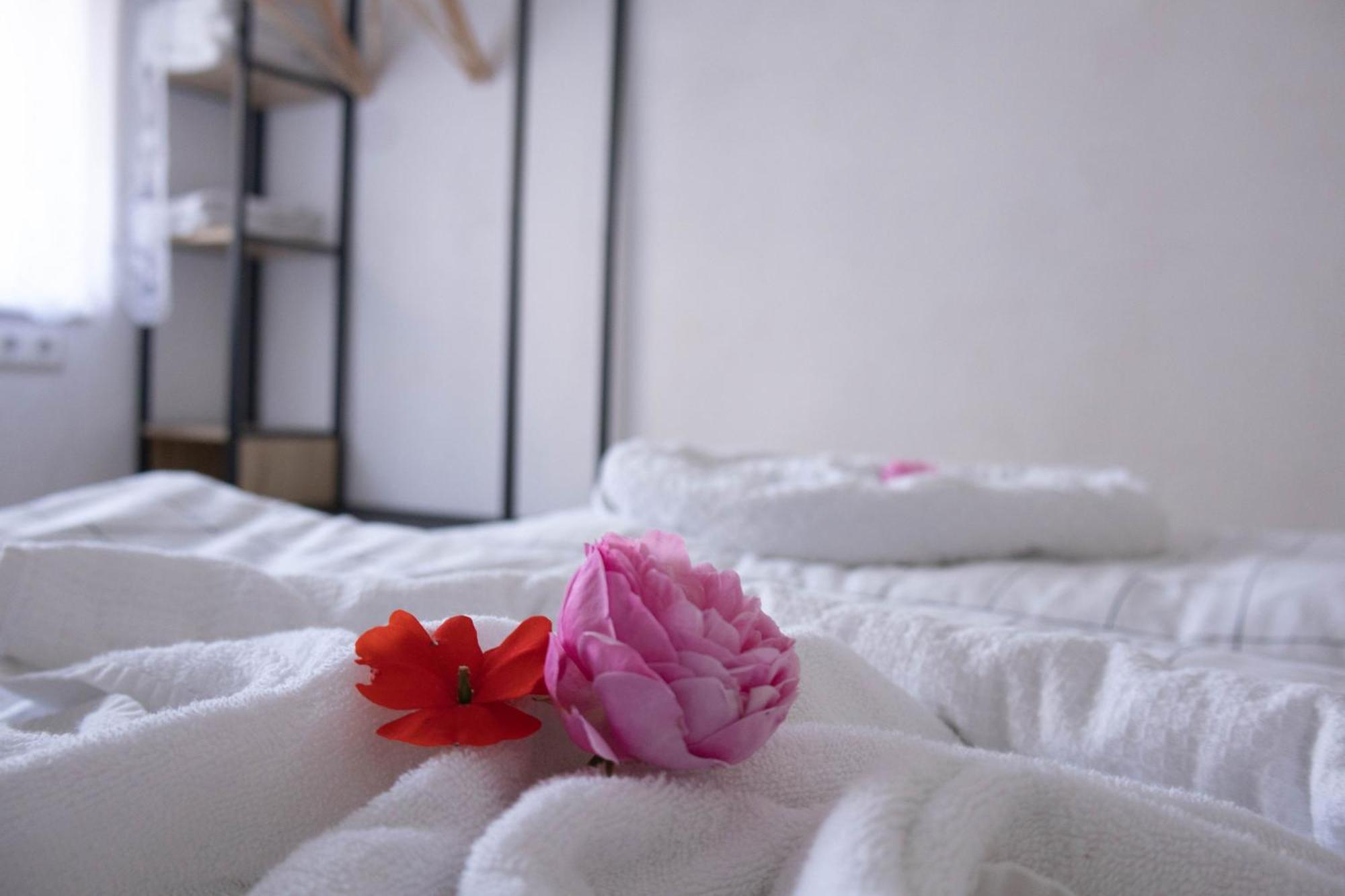 Kuzey Apartments كابل غرافنهاوسن المظهر الخارجي الصورة